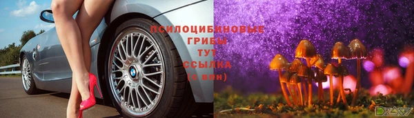 mdpv Алзамай