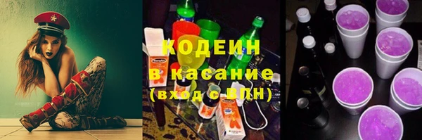 мет Алексин