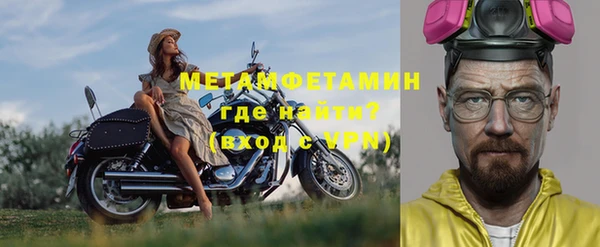 мет Алексин