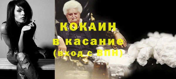мет Алексин
