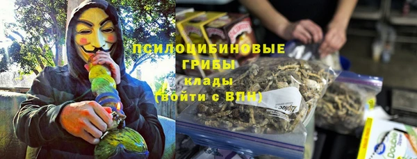 мет Алексин