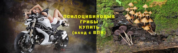 мет Алексин