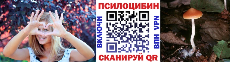 Псилоцибиновые грибы Psilocybine cubensis что такое Мирный