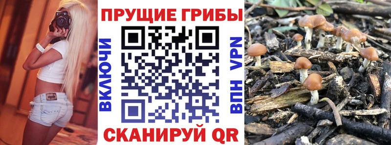 Галлюциногенные грибы ЛСД Мирный